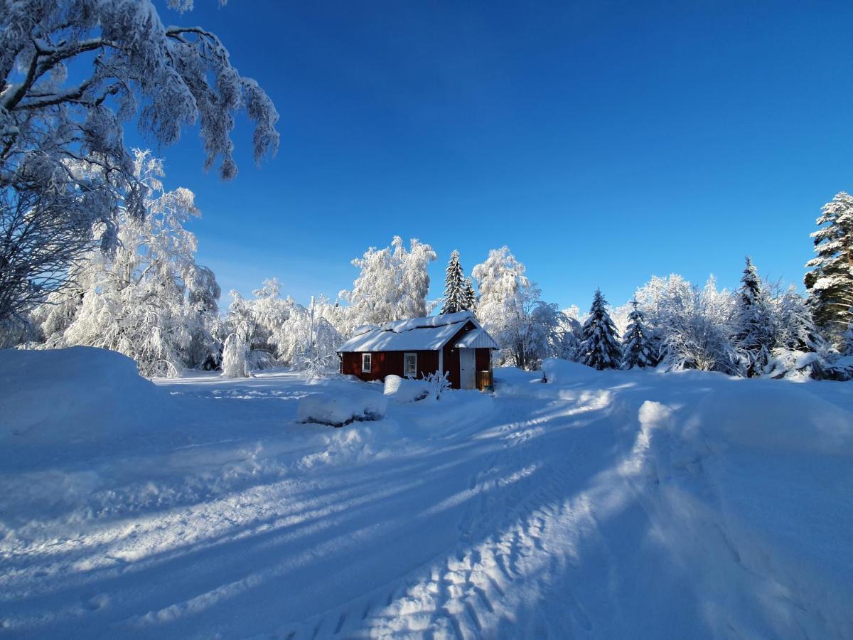 Luxury Guesthouse 'Lodge Lagom' - Hammarstrand-Jaemtland ภายนอก รูปภาพ