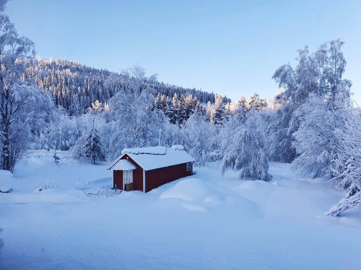 Luxury Guesthouse 'Lodge Lagom' - Hammarstrand-Jaemtland ภายนอก รูปภาพ
