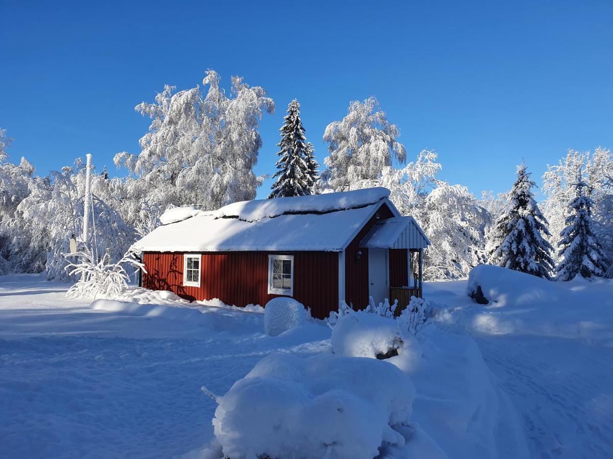 Luxury Guesthouse 'Lodge Lagom' - Hammarstrand-Jaemtland ภายนอก รูปภาพ